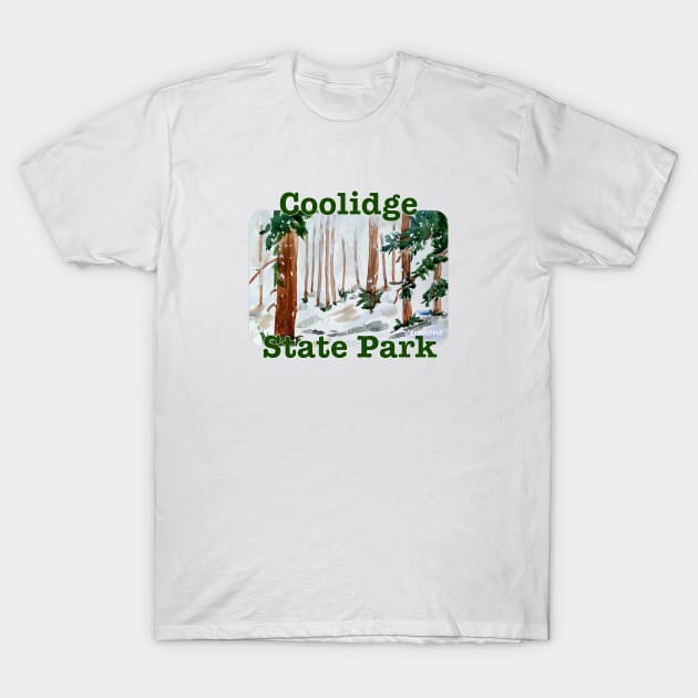 Coolidge State Park, Vermont T-Shirt by MMcBuck